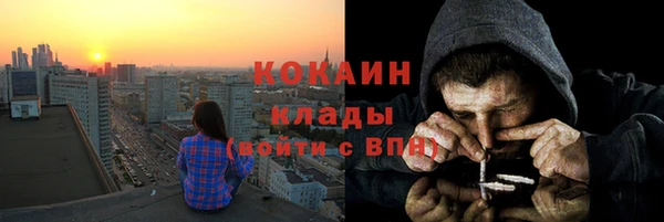 прущие крисы Белокуриха