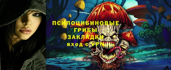 прущие крисы Белокуриха